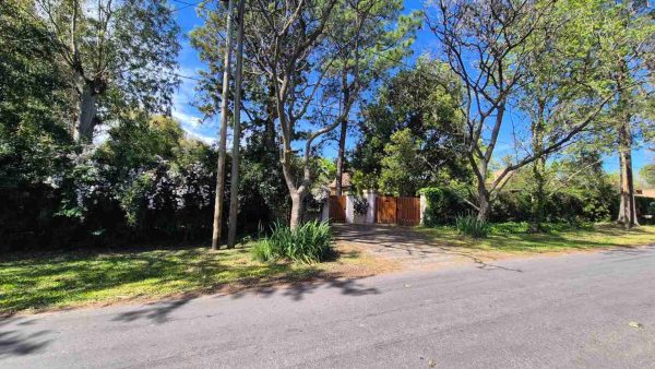 Alquiler De Casa En Tigre