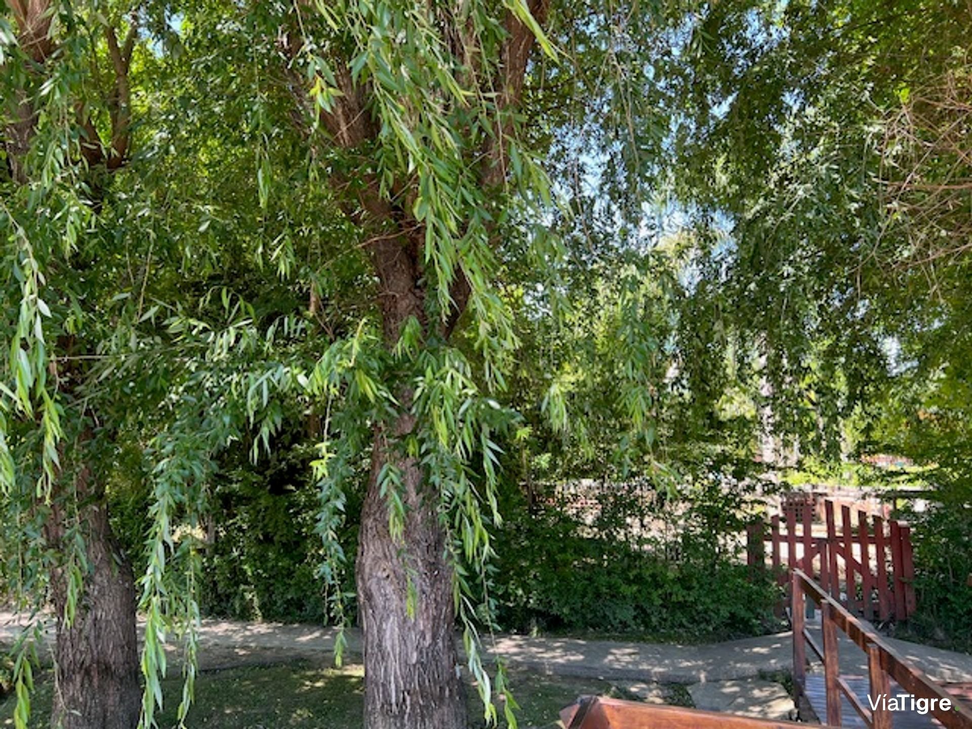 Venta Lote 2 Cabañas 2 Y 3 Amb Isla Delta Tigre