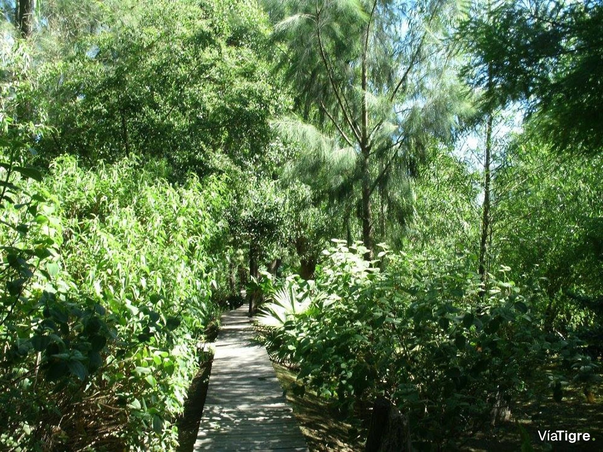Venta Lote 2 Cabañas 2 Y 3 Amb Isla Delta Tigre