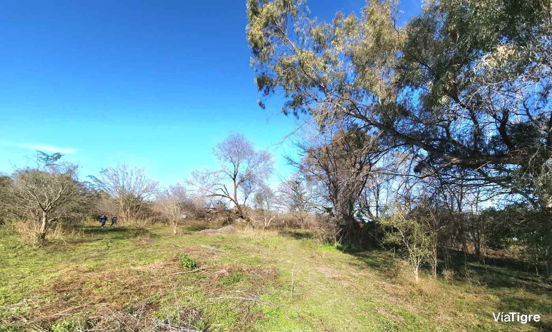 Venta Lote Benavidez 6500 M2 Zona Rm2