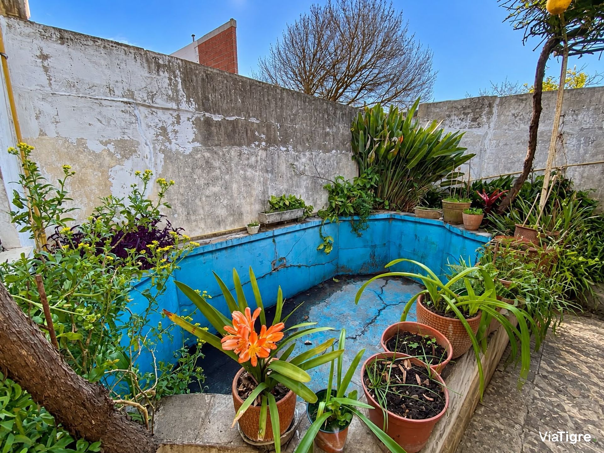 Venta Casa San Fernando 3 Amb Cochera Pileta