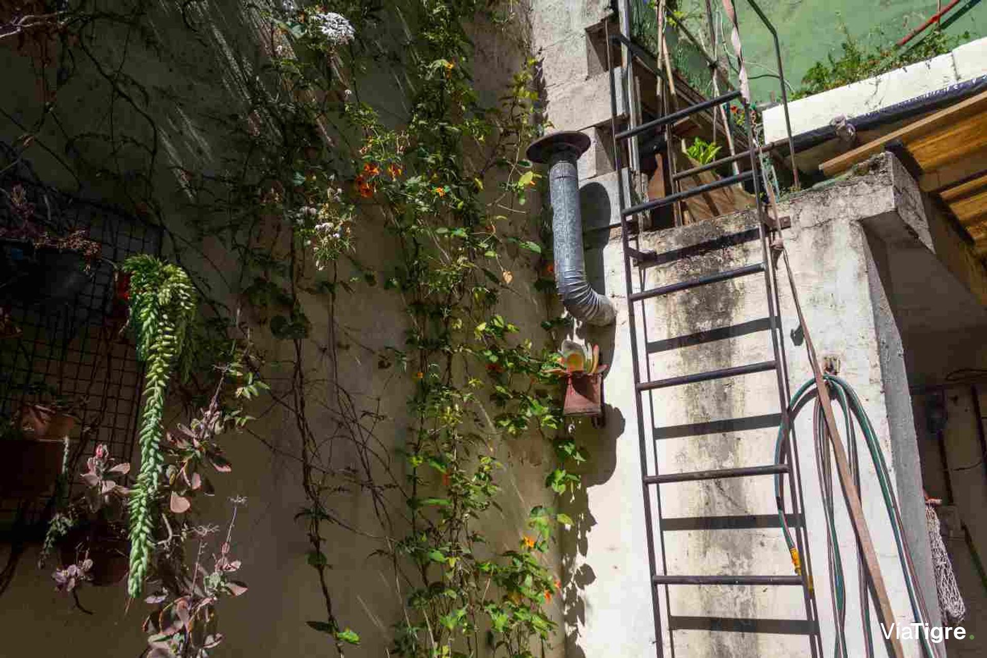 PH VENTA 4 ambientes OLIVOS - 2 Patios