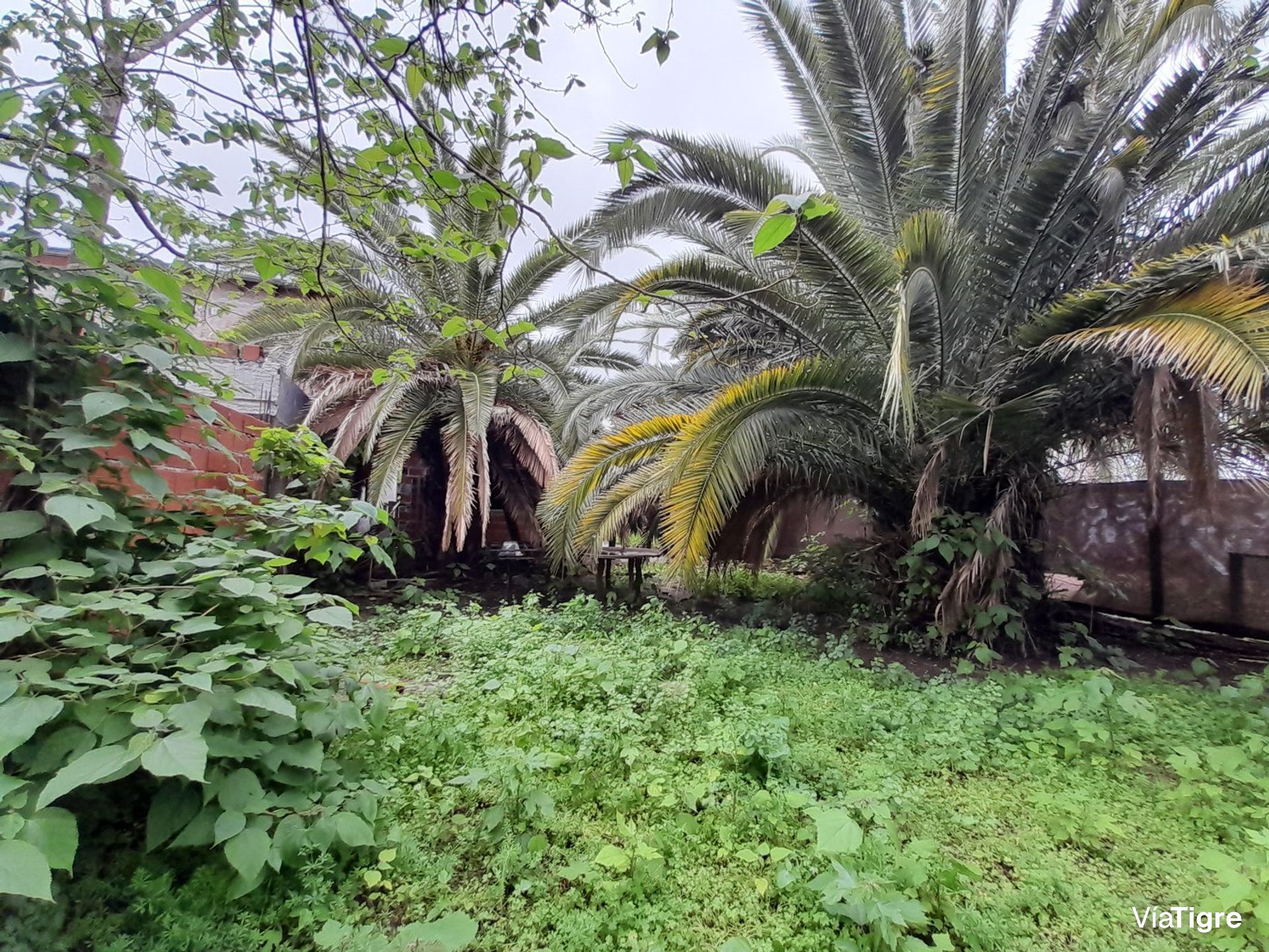 Venta Casa 3 Ambientesdon Torcuato A Refaccionar