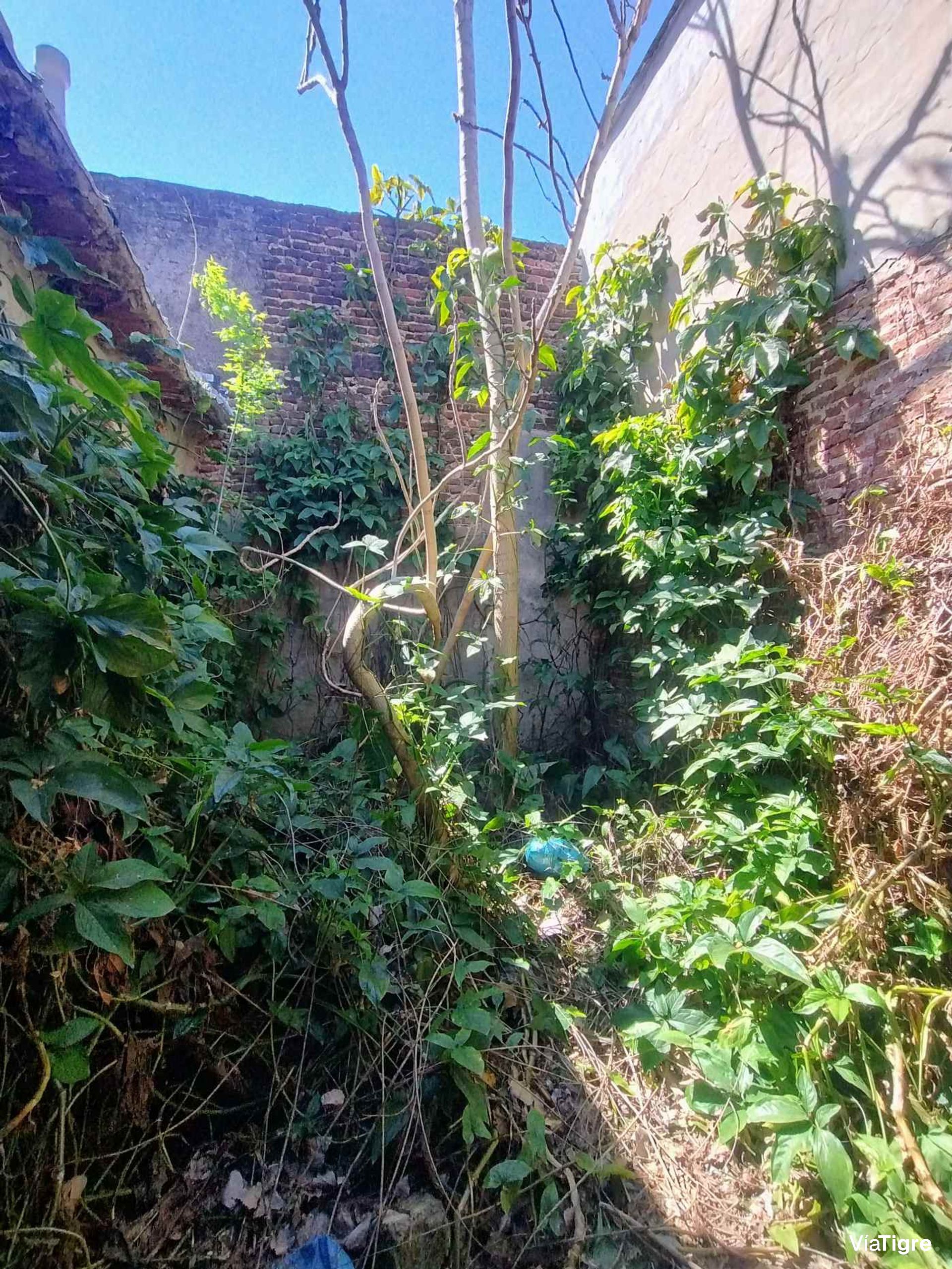 Terreno En Tigre | Zuviría 575 | Ideal Desarrollo