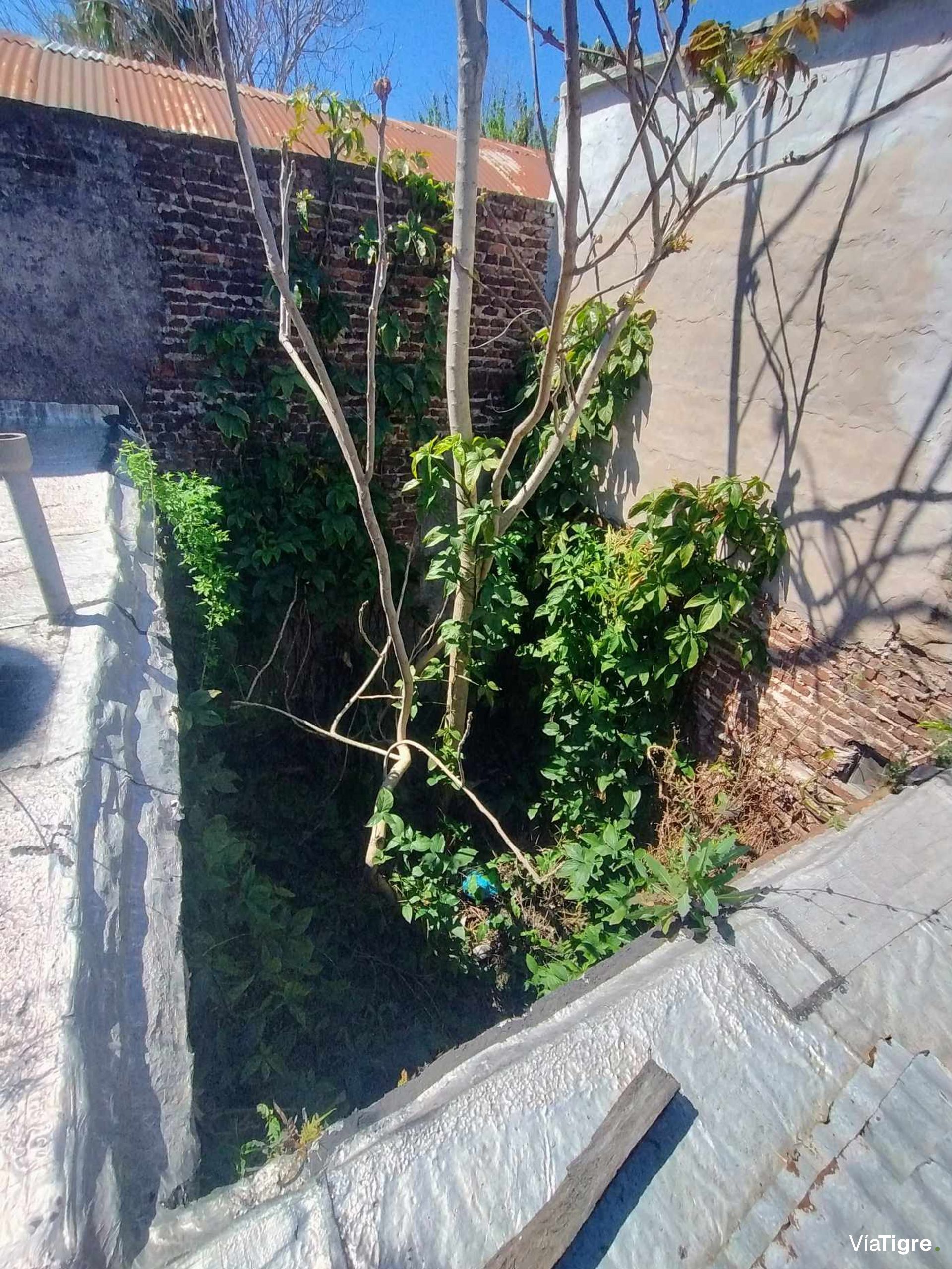 Terreno En Tigre | Zuviría 575 | Ideal Desarrollo