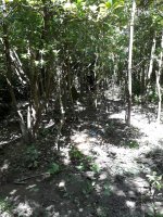 Sale of 2 lots Delta Tigre canal Bourdieu 2494 square meters