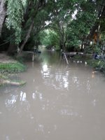 Sale of 2 lots Delta Tigre canal Bourdieu 2494 square meters
