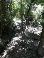 Sale of 2 lots Delta Tigre canal Bourdieu 2494 square meters