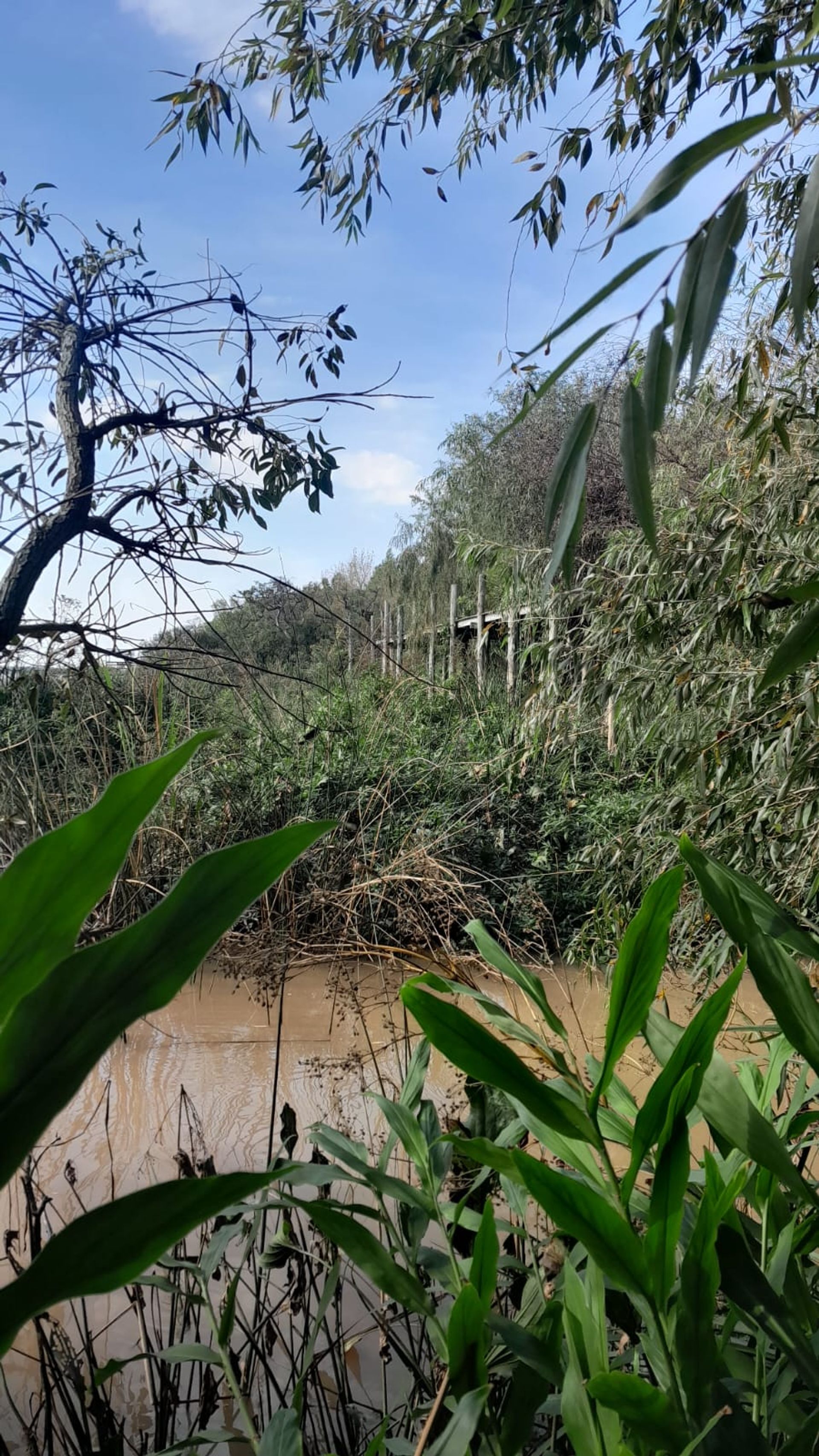 Lot Sale on Rio Parana in Las Palmas