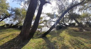 Lot Sale in Rio Parana, Las Palmas