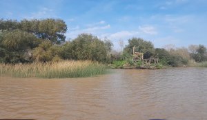 Lot Sale in Rio Parana, Las Palmas
