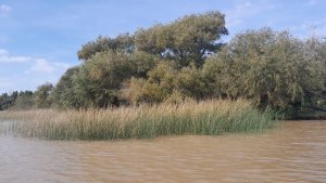 Lot Sale in Rio Parana, Las Palmas