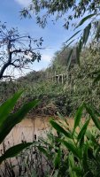 Lot Sale in Rio Parana, Las Palmas