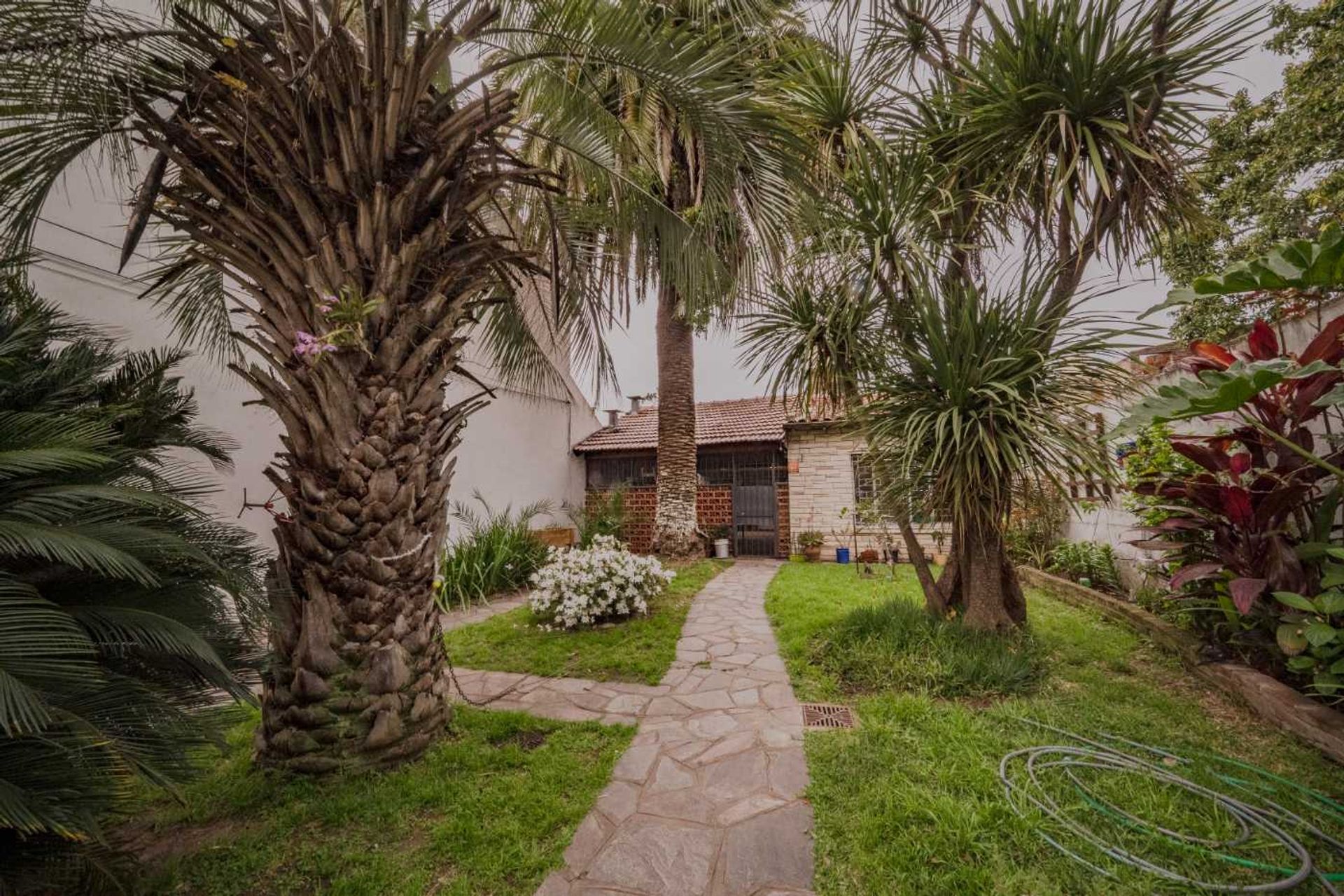 Venta Terreno Olivos - Permuta