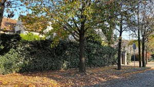 LAND, 1145 m2, Acassuso, Divisible, Barrio Aguirre