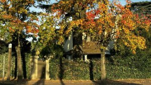LAND, 1145 m2, Acassuso, Divisible, Barrio Aguirre