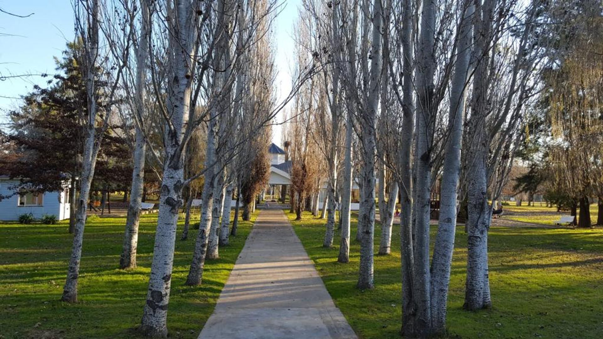 Venta Terreno Isla Del Este (Tigre) - 1.200 M2