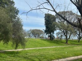 Lot for Sale in Tigre Commercial Zone