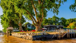 Venta Delta de Tigre–Complejo