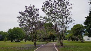 Venta Terreno De 167M2 Villa Adelina San Isidro