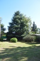Sale Lot With House and Barn