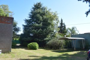 Sale Lot With House and Barn