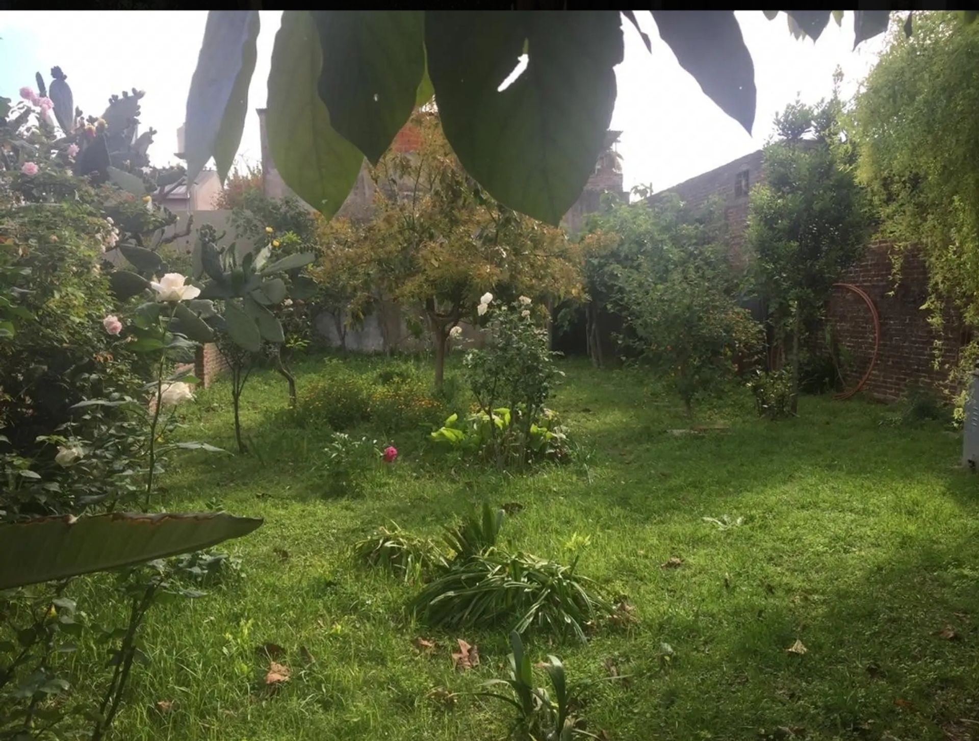 Sale Lot 310 m2 - Don Torcuato
