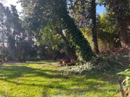 Sale of 600 square meter lot in San Isidro Historic Center