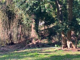 Sale of 600 square meter lot in San Isidro Historic Center