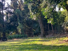 Sale of 600 square meter lot in San Isidro Historic Center