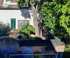 Casa 2 Lotes En Venta San Isidro Oportunidad