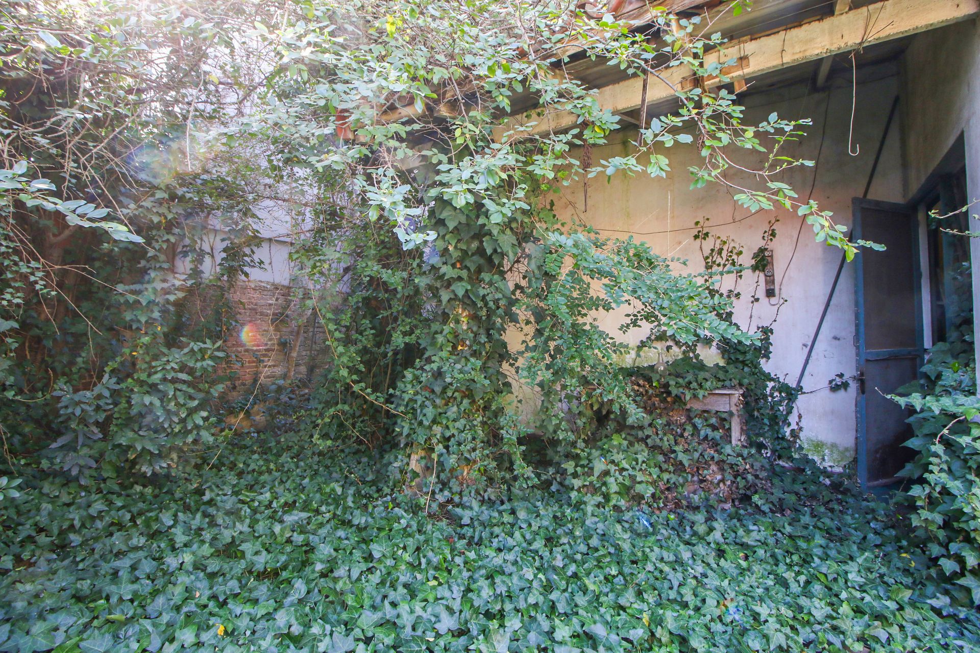 Venta Casa a Remodelar o lote 10 x 24,5 – Olivos