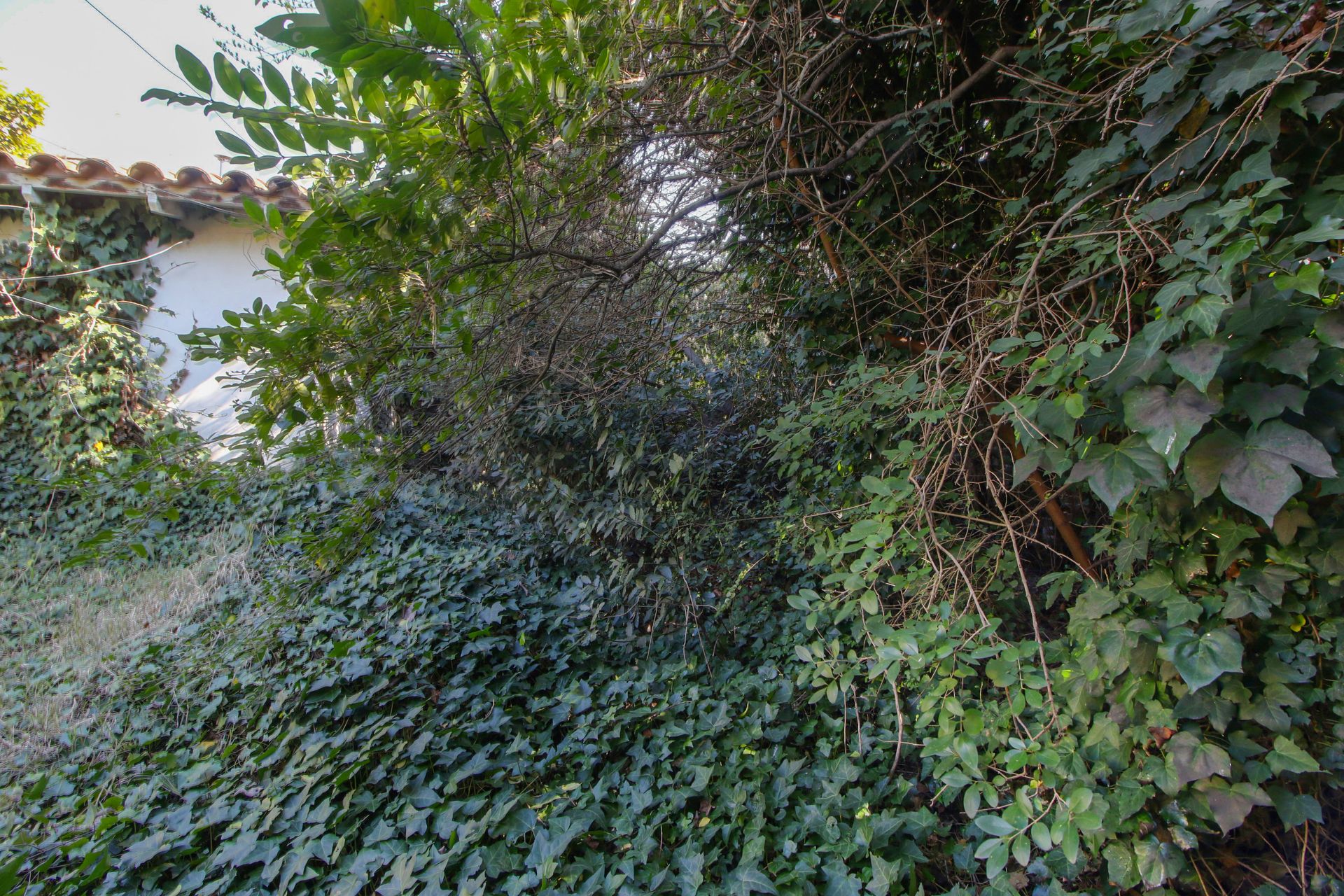Venta Casa a Remodelar o lote 10 x 24,5 – Olivos