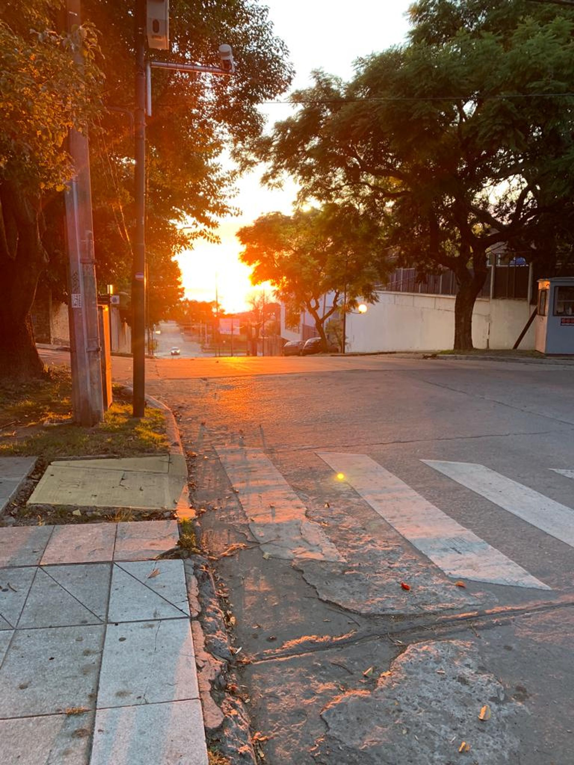 VENTA DEPARTAMENTO 3AMB C/ RENTA en UDS