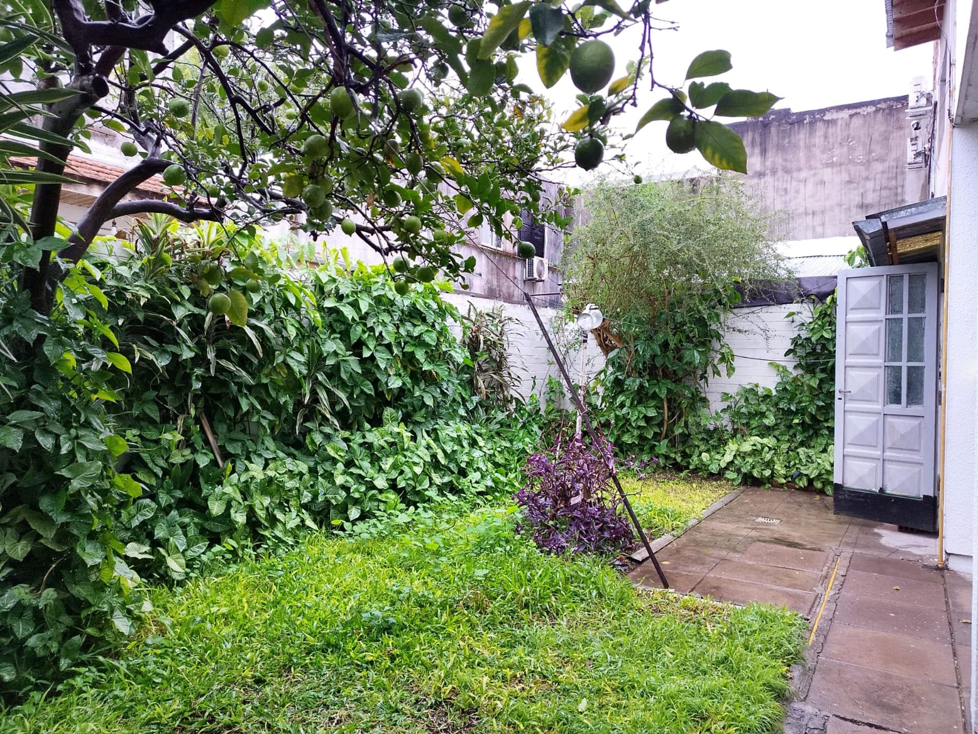 VENTA ph 4ambiente TALAR
