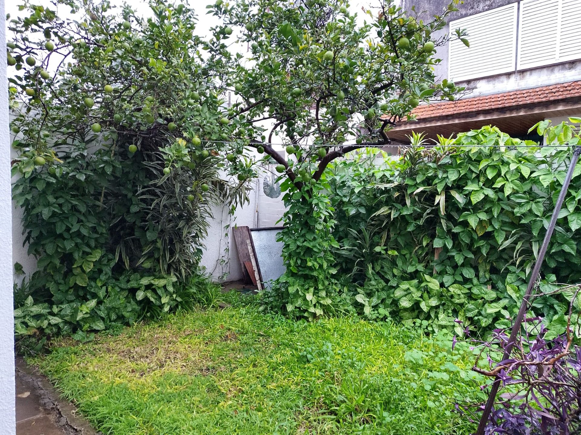 VENTA ph 4ambiente TALAR