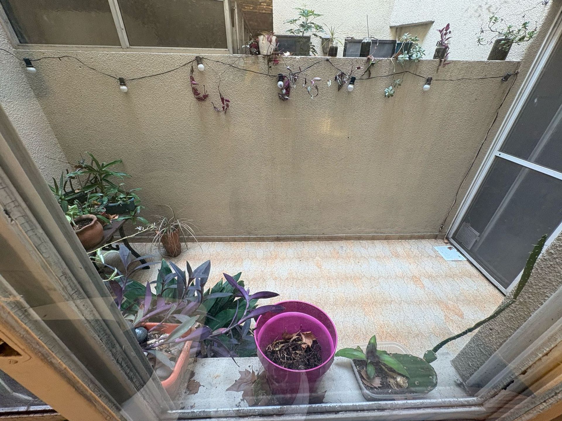 Venta Departamento 2 Ambientes Pb Patio Olivos