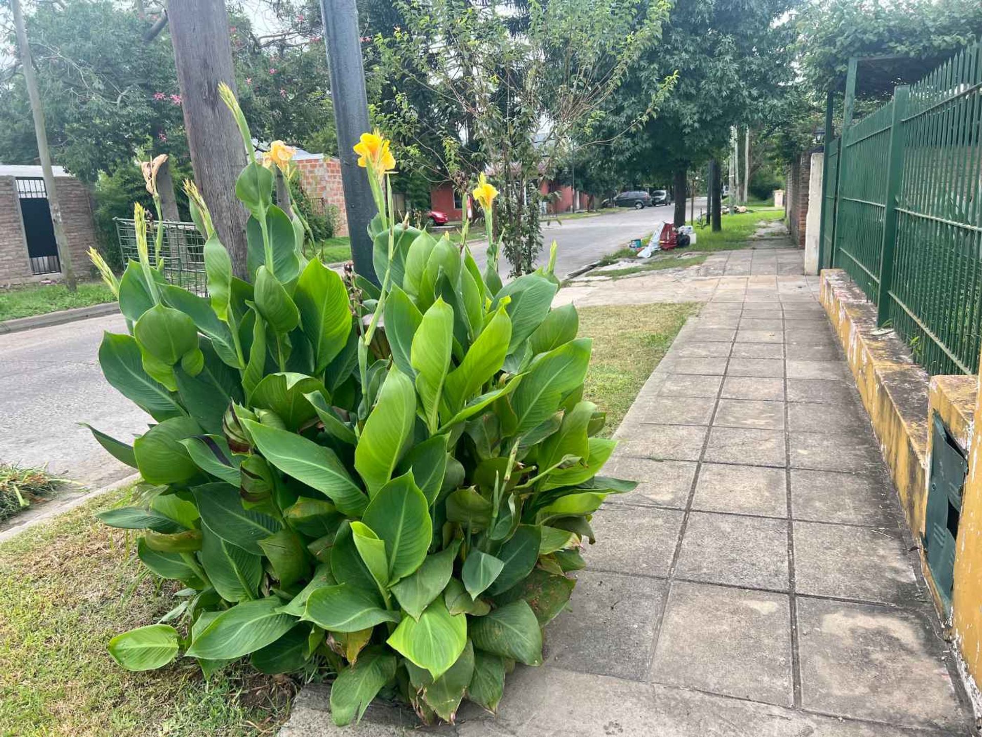 Casa Don Torcuato 5 ambientes con Cochera y Jardín