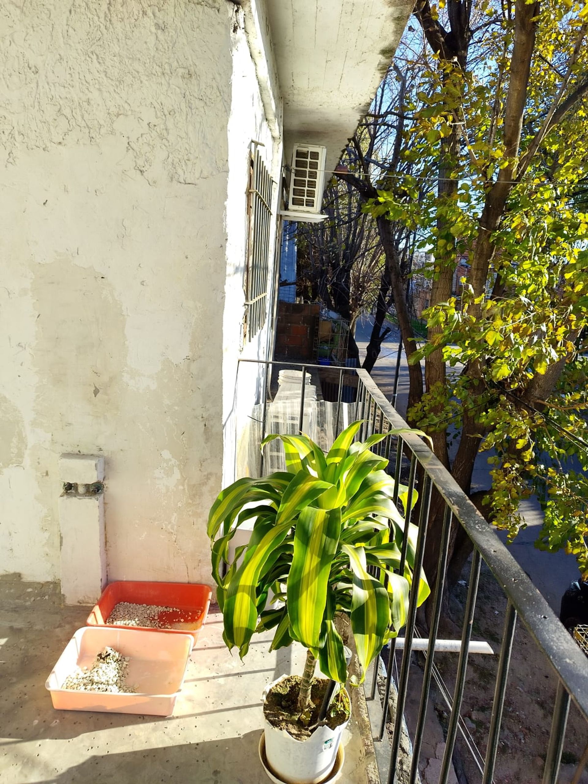 Venta Casa En Virreyes Multifamiliar Inversion