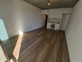 Brand New Studio with Garage, Palmas Park