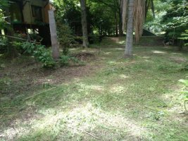 Venta casa Delta Primera Sección Arroyo Torito