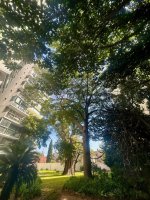 Venta Depto 3 Amb. – Cochera- Martinez