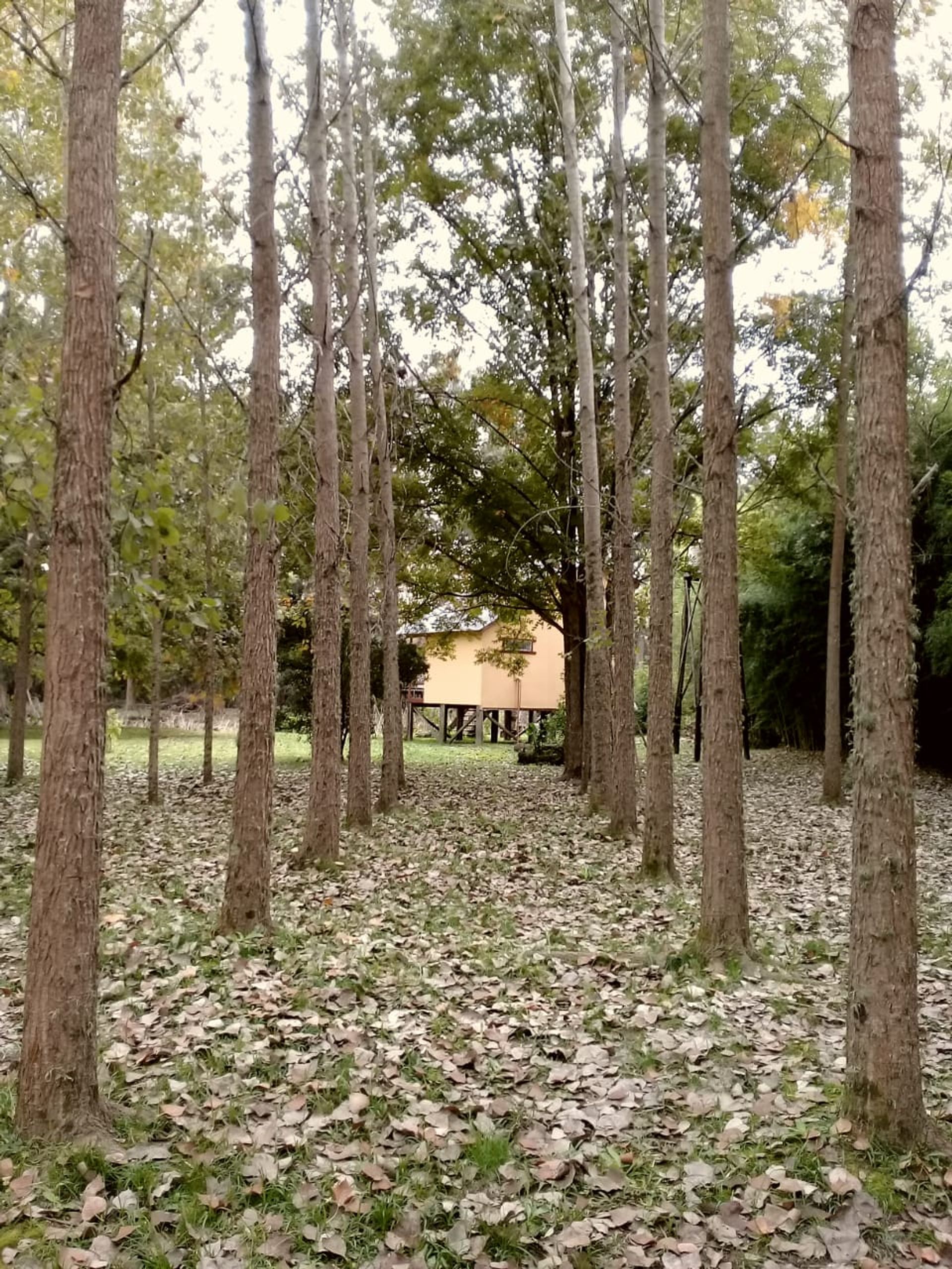 venta de casa + cabaña Delta San Fernando