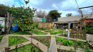 Ph 3 Amb Apto Prof Apto Cred Sin Expensas Boulogne