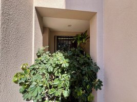 Casa en venta en Martinez 7 ambientes jardin