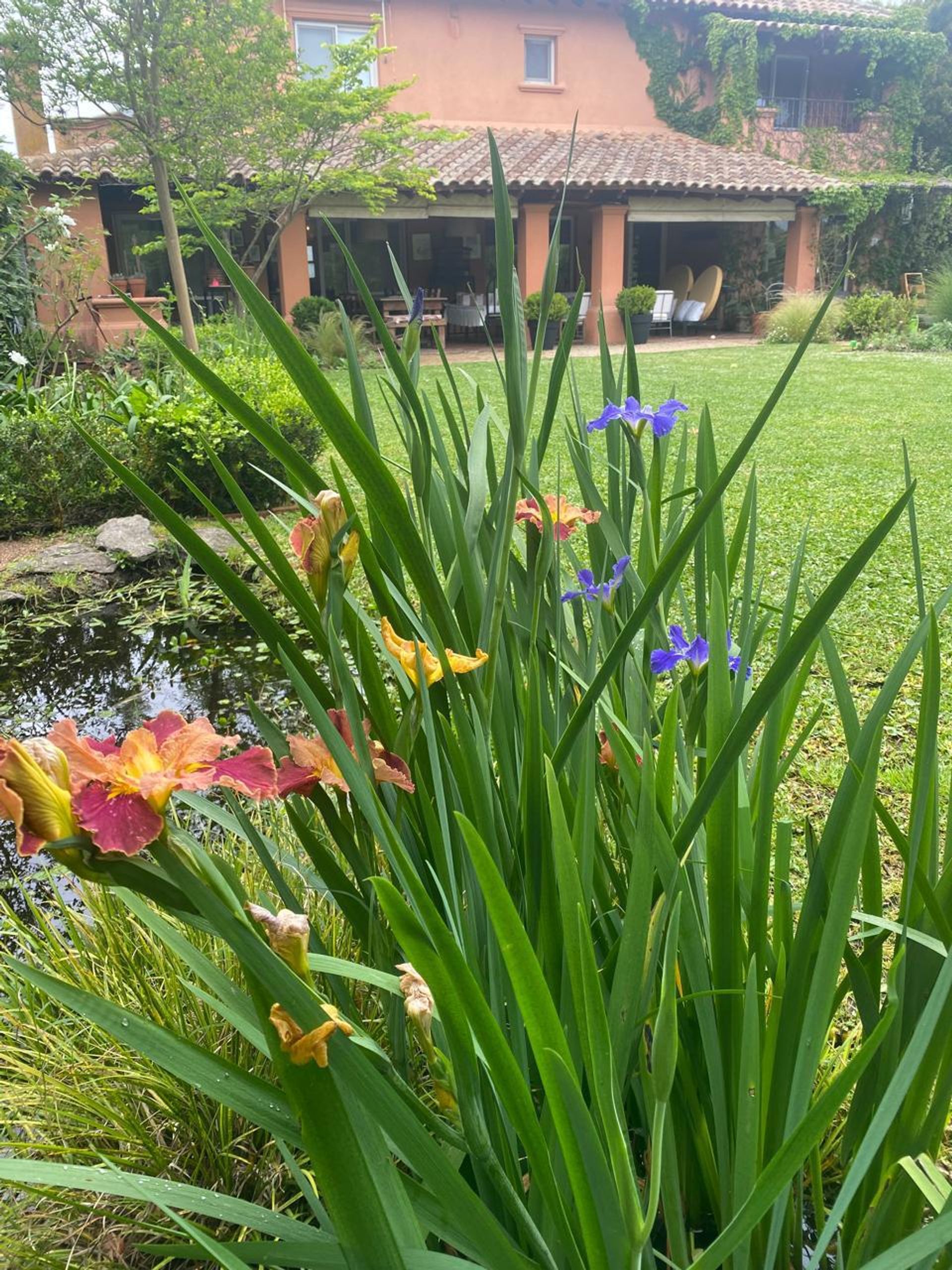 Casa alquiler temp. Santa Barbara 5 amb en Febrero