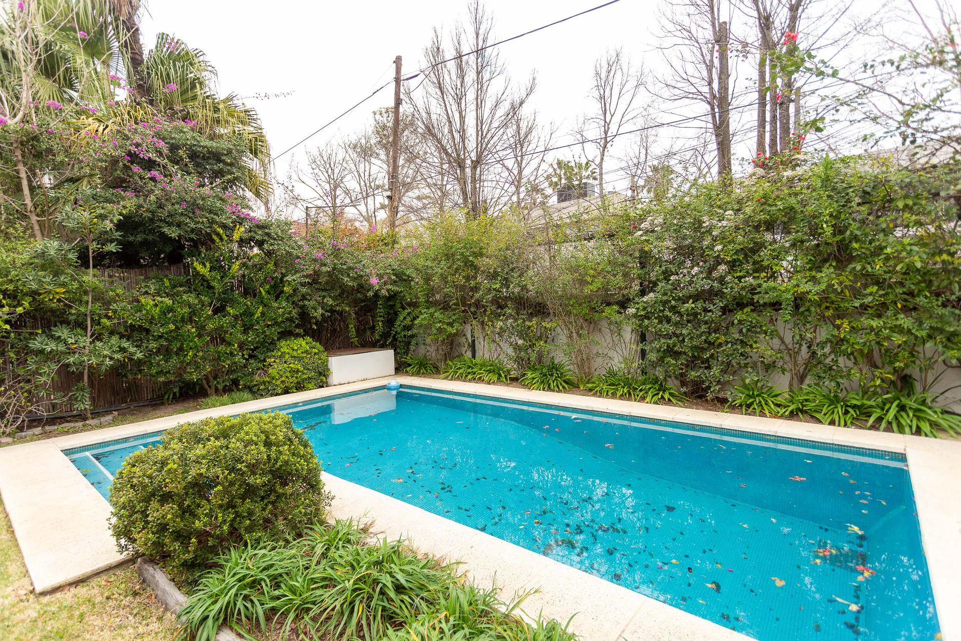 Casa en Venta Martínez Pileta y Jardin Impecable