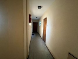 2-room apartment in Florida