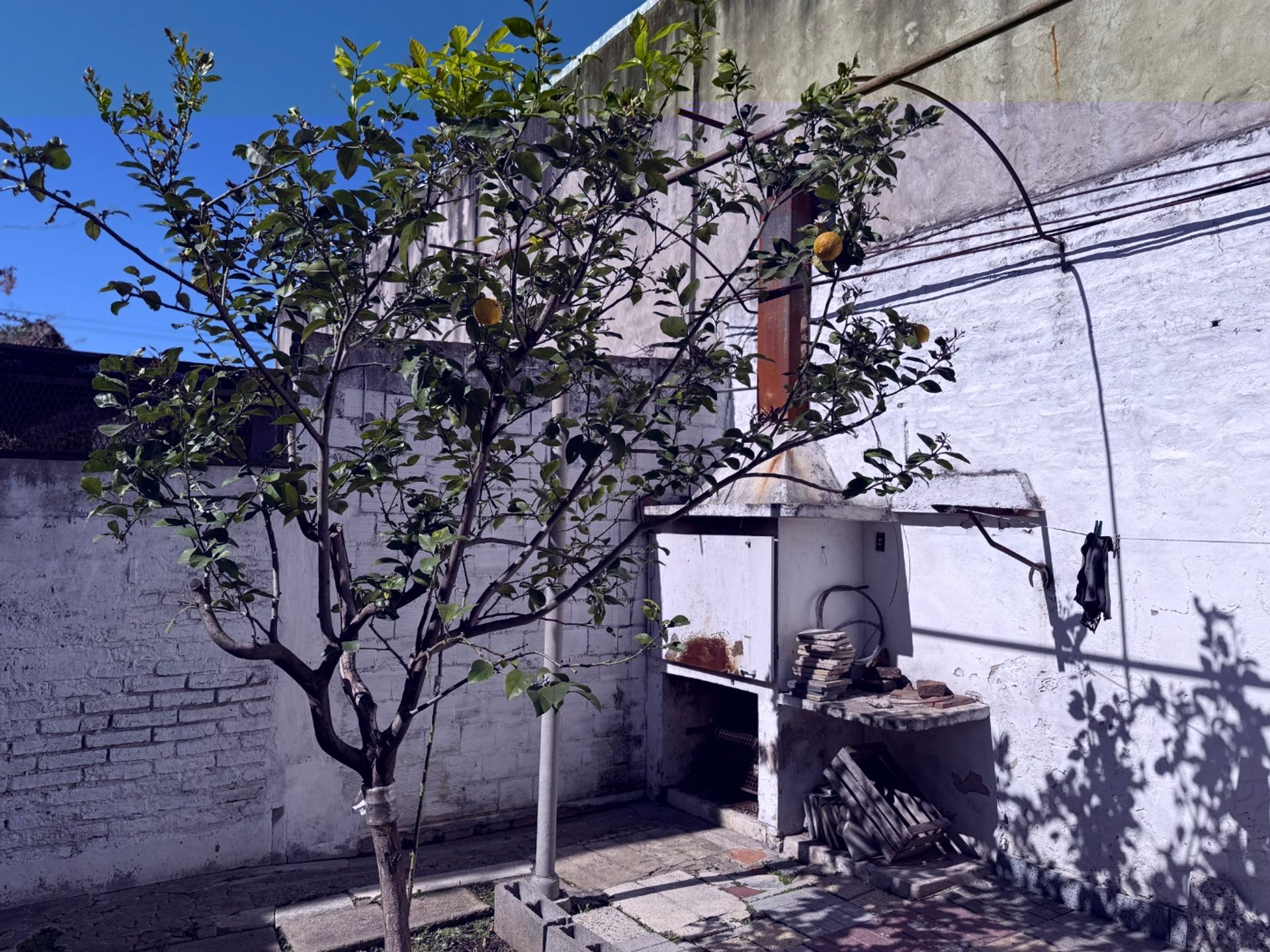 Alquiler Ph 3 Ambientes V. Martelli Vicente Lopez