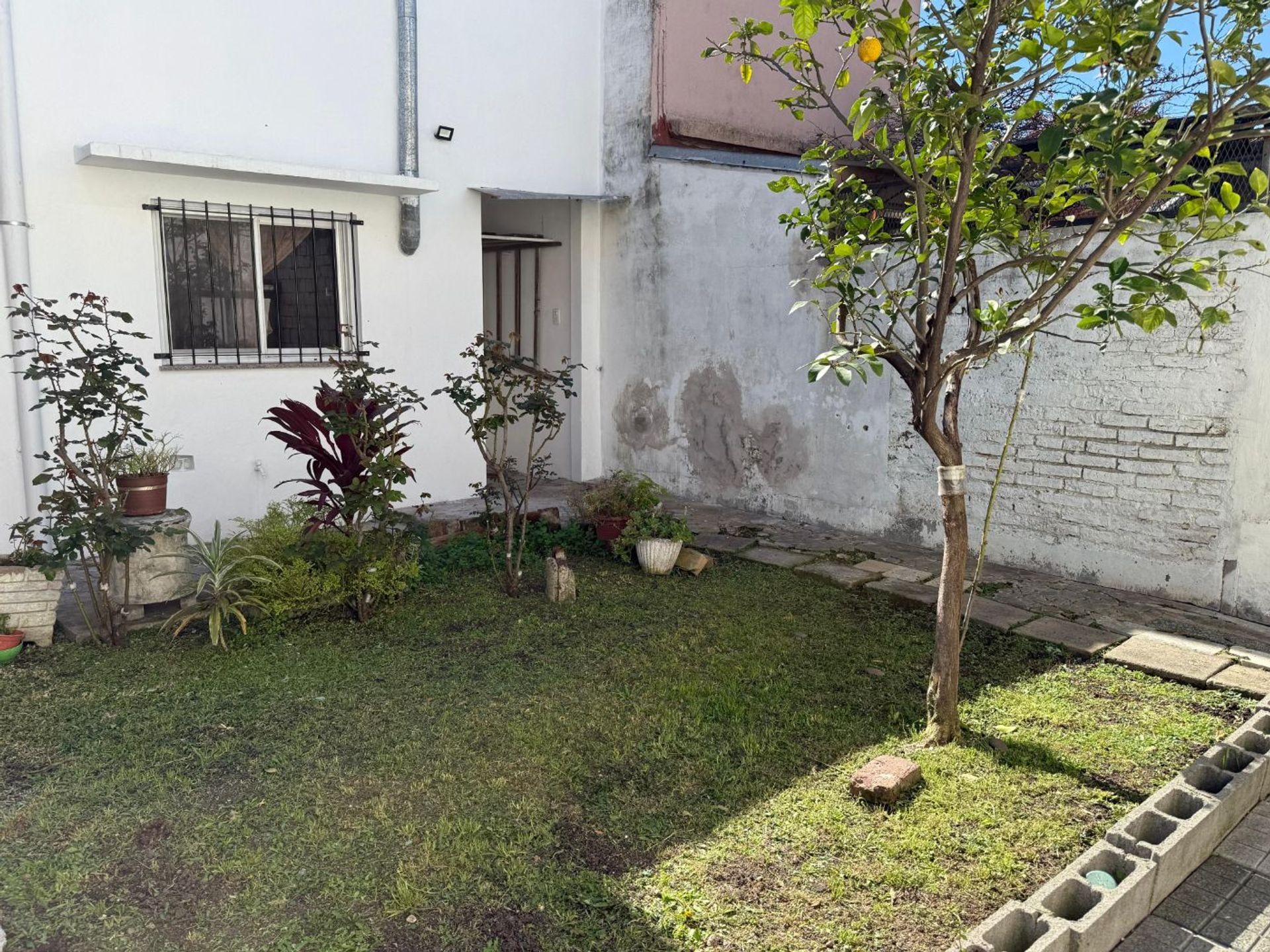 Alquiler Ph 3 Ambientes V. Martelli Vicente Lopez
